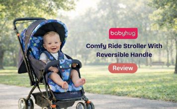 Comfy Ride Stroller With Reversible Handle