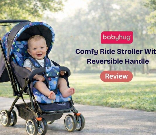 Comfy Ride Stroller With Reversible Handle