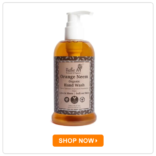 Rustic Art Organic Orange Neem Handwash