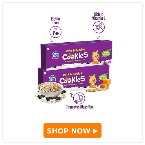 Bebe Burp Organic Oats & Raisins Baby Cookies