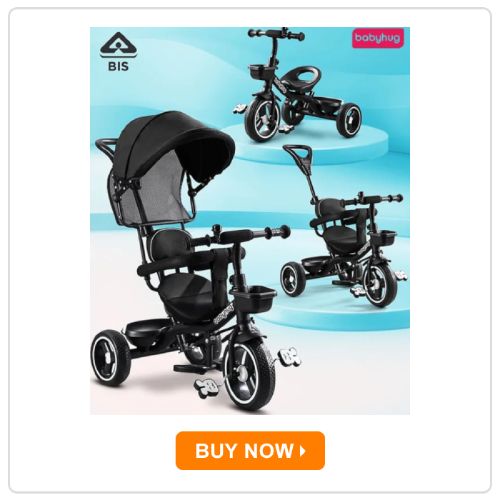 Babyhug Plug & Play Stallion Tricycle