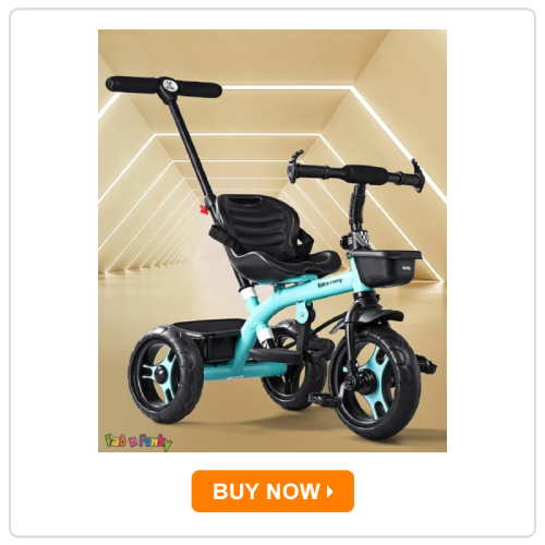 Fab N Funky Plug & Play Tricycle
