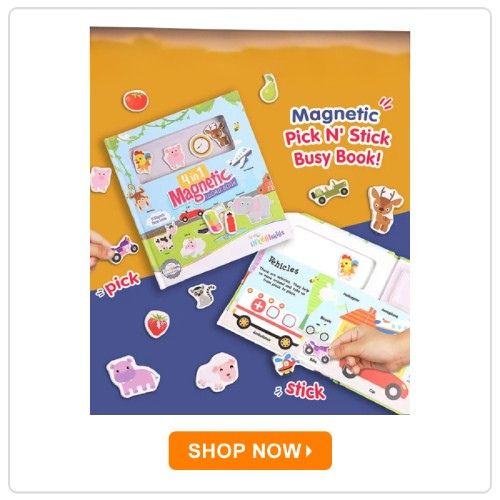 Intelliskills 4-in-1 Premium Magnetic Board Book