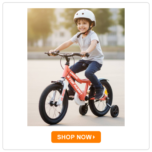 R for Rabbit Cruize Bicycle R for Rabbit Cruize Bicycle