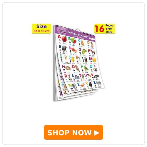 Spiral Wall Picture Chart With 16 Topics - English & Hindi