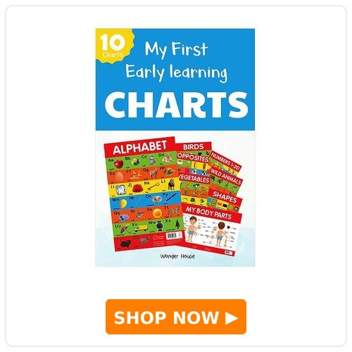 Early Learning Educational Set of 10 Charts - English