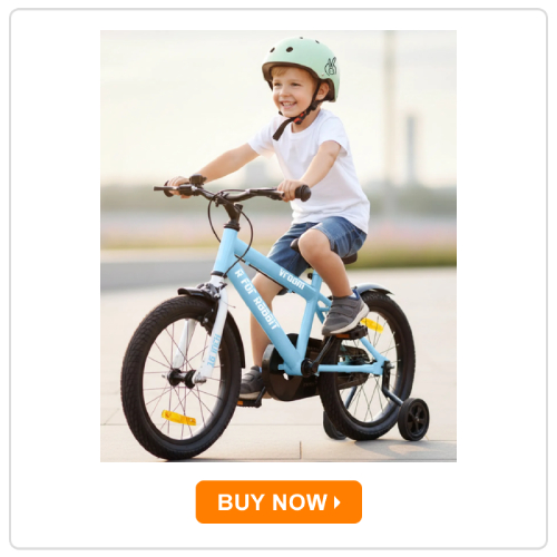 R For Rabbit Vroom Bicycle for Kids - Review