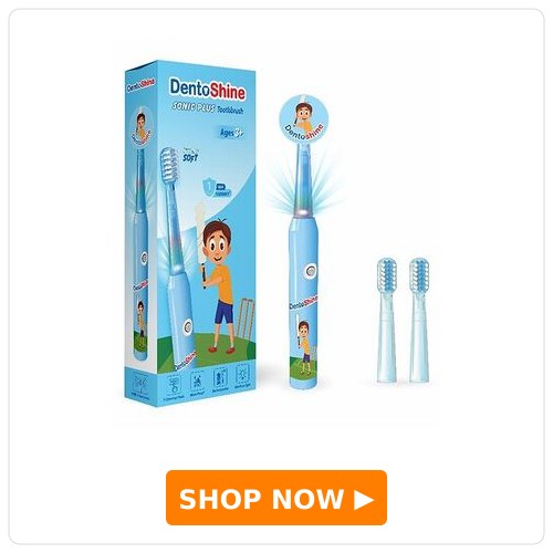 DentoShine Electric Toothbrush with Brush Heads