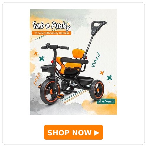 Fab N Funky Plug & Play Tricycle