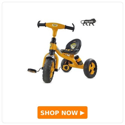 Dash Micro Tricycle 