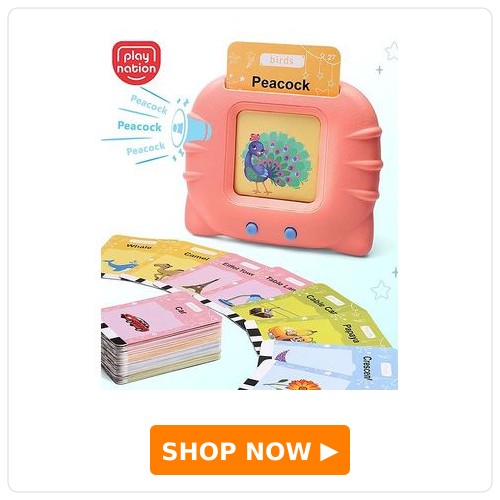 Play Nation Rechargeable Talking Flash Cards Play Nation Rechargeable Talking Flash Cards